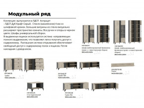 Гостиная Отис Дуб Крафт Серый/Антрацит в Березниках - berezniki.magazinmebel.ru | фото - изображение 5