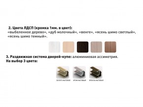 Шкаф-купе Акцент-Сим Д 1200-600 шимо светлый в Березниках - berezniki.magazinmebel.ru | фото - изображение 3